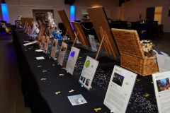 HelotesChamber10thAnnualAwardsDinner5R7A3743