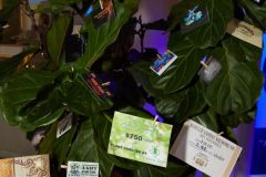 HelotesChamber10thAnnualAwardsDinner5R7A3797