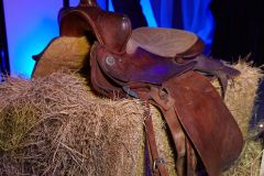 HelotesChamber10thAnnualAwardsDinner5R7A3828