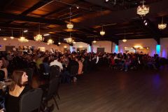 HelotesChamber10thAnnualAwardsDinner5R7A3886