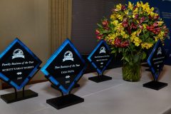 2020-Business-Awards-_MG_6742-scaled