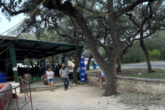 IMG-0782