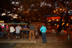 HelotesBeerGardenChamberAfterHours5R7A5231