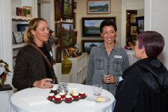 Helotes-Gallery-Evening-Mixer5R7A5971