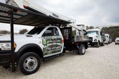 S.A.TotalTreeServiceRibbonCutting5R7A7441