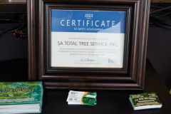 S.A.TotalTreeServiceRibbonCutting5R7A7517
