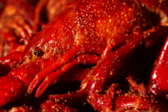 Smashin-Crab-Evening-Mixer_MG_4023