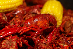 Smashin-Crab-Evening-Mixer_MG_4024