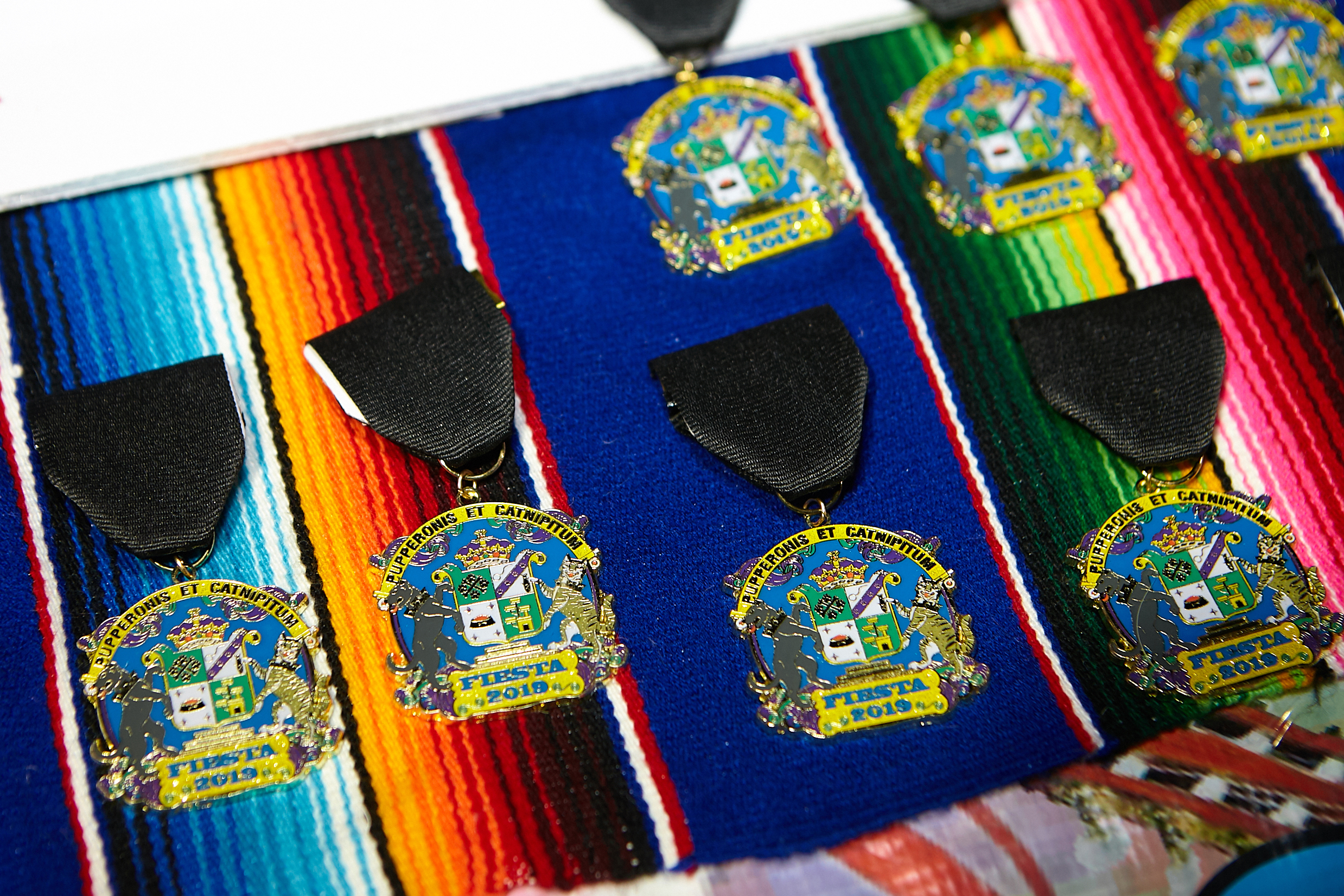 Fiesta Medal Bash 2019