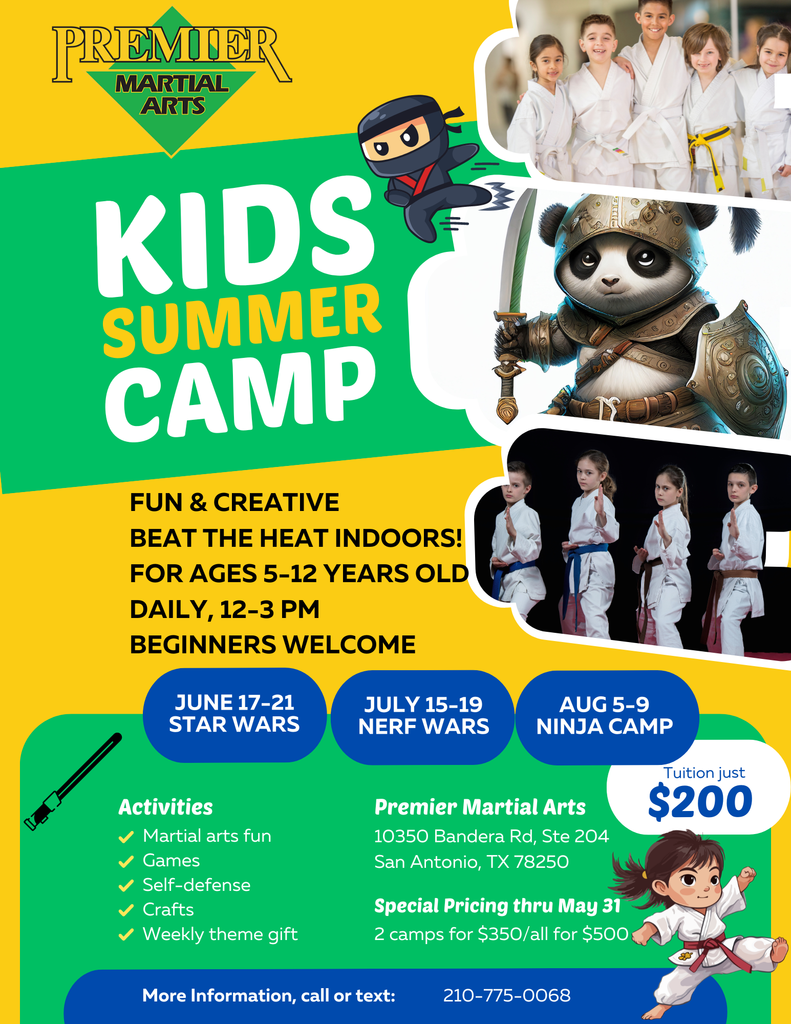 Premier Martial Arts Summer Camp June July Aug 2024